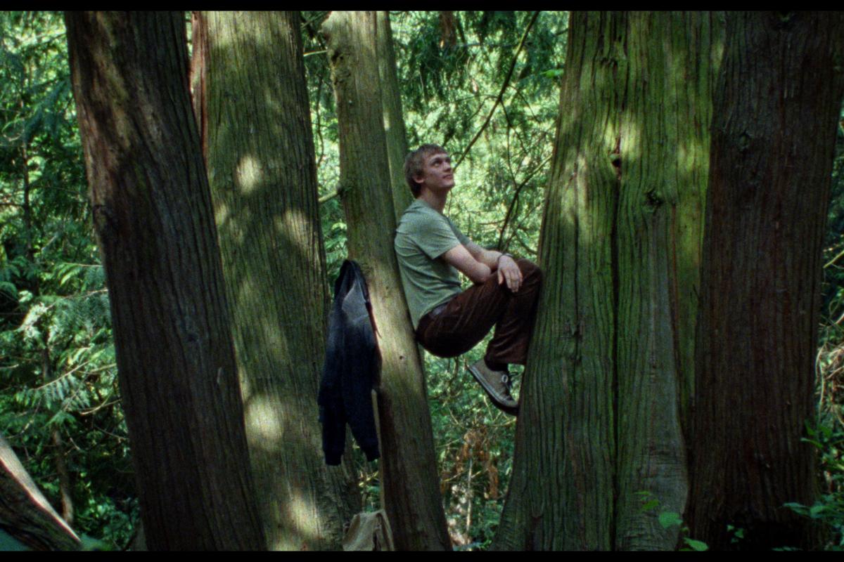 你是不會當樹嗎 Silent Friend